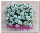 PASTEL GREEN open roses 25 mm ( 5 uds )