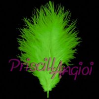 Lime Green Marabou feather 120-140 mm ( 1 pce )