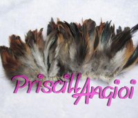 Pluma de gallo color marrn natural 7-9 cm ( 1 uni )