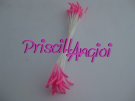 50 FUCHSIA FLUORESCENT colour long stem stamens ( 25 double )