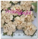 5 rosas de mayo 2.5 cm color BLANCO ROTO/ROSA