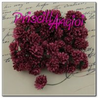 BURGUNDY Aster Daisy 1.5 cm ( 5 pces.)