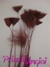 Pluma de gallo en pack 10 uni. PUNTA TRIANGULAR MARRON 10-15 cm