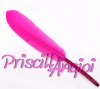 Fuchsia duck feather straight 10-15 cm