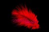 Orange Marabou feather 120-140 mm ( 1 pce )