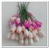 Tulipanes tonos rosas de 10 mm ( 5 uds ) Tulipanes tonos rosas de 10 mm ( 5 uds )