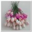 Tulipanes tonos rosas de 10 mm ( 5 uds )