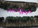 Pheasant " GREEN / BLACK " yellow back Feather Fringe - 10 cm