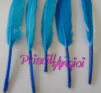 TURQUOISE goose feather straight 10-15 cm