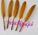 BROWN goose feather straight 10-15 cm