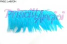 Fleco de plumas gallo - seccion 10 cm ( 30 plumas) TURQUESA