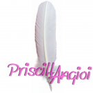 Pluma basica 160-180 mm fleco base color blanco (1 ud)