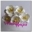 Cherry blossom WHITE color25 mm ( 5 pces.)