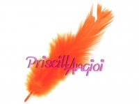 Orange Basic feather fringe base 160-180 mm ( 1 piece )