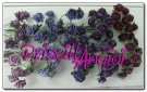 10 rosas abiertas 1.5 cm color Tonos Violetas - elegir color