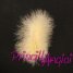 Salmon Marabou feather 120-140 mm ( 1 pce )