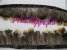 Pheasant " GOLDEN/GREEN " yellow back Feather Fringe - 10 cm