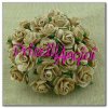 LIGHT MOCHA open roses 1.0 cm ( 10 pces.)