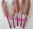 CHOCOLATE goose feather straight 10-15 cm