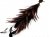 Dark Brow feather brooch / hair