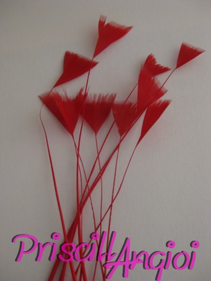 Pluma de gallo en pack 10 uni. PUNTA TRIANGULAR ROJO 10-15 cm - Haga un click en la imagen para cerrar