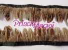 Pheasant " almond " Feather Fringe - 10 cm