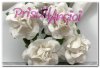 5 rosas japonesas 2.5 cm color BLANCO