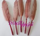 CHOCOLATE goose feather straight 10-15 cm