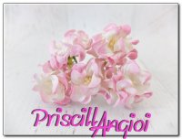 PINK/WHITE 2-tone gardenia 3.5 mm ( 5 pces.)