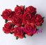 Rosa 20 mm roja intensa ( 5 uds)
