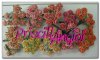 10 rosas abiertas 1.5 cm color Tonos rosas meloco - elegir color