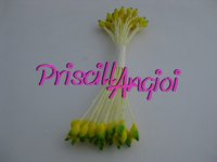 50 YELLOW / GREEN colour long stem stamens ( 25 double pistils )