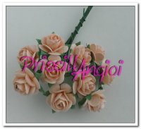 10 rosas abiertas 1.5 cm color salmn claro