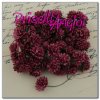 5 margarita Aster Pompon PREMIUM 1.5 cm ROJO BURDEOS ( 5 uni.)