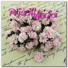 5 margarita Aster Pompon PREMIUM 1.5 cm ROSA/B.ROTO ( 5 uni.)