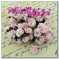 PINK/IVORY Aster Daisy 1.5 cm ( 5 pces.)