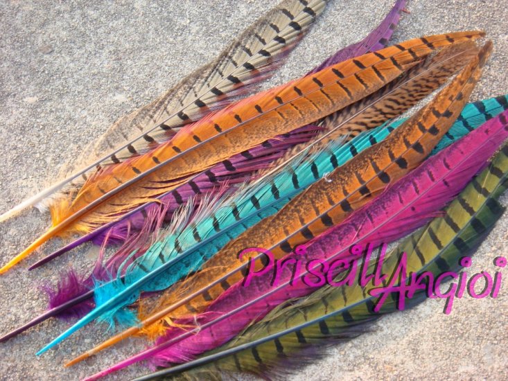 Plumas faisan largas 25-30 cm ( lote 4 uds surtidas) - Haga un click en la imagen para cerrar