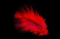 Orange Marabou feather 120-140 mm ( 1 pce )