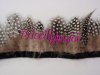 Guinea Fowl Feather Fringe - 10 cm