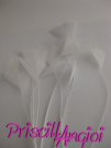 Pack 10 pieces WHITE Rooster feather 10 cm Coque Triangle Bunch