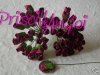 5 capullitos rosas burdeos 6 mm