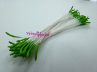 50 VERDE colour long stem stamens ( 25 double pistils )