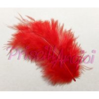 Red Marabou feather 120-140 mm ( 1 pce )