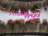 Pheasant " SPECIAL 4 TONES " yellow back Feather Fringe - 10 cm