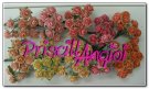 PINK / PEACH tone open roses 1.5 cm ( 50 pces.)