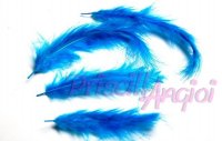 Feather 60-80 mm TURQOISE ( 1 ud )