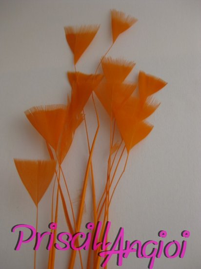 Pluma de gallo en pack 10 uni. PUNTA TRIANGULAR NARANJA 10-15 cm - Haga un click en la imagen para cerrar