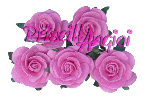 Rosa 20 mm papel mulberry rosa ( 5 uds) - Haga un click en la imagen para cerrar