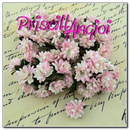 5 margarita Aster Pompon PREMIUM 1.5 cm ROSA/B.ROTO ( 5 uni.) - Haga un click en la imagen para cerrar