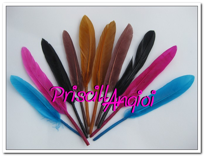 Pluma recta OCA color MIX - PACK ( 10 uni ) - 10-15 cm - Haga un click en la imagen para cerrar